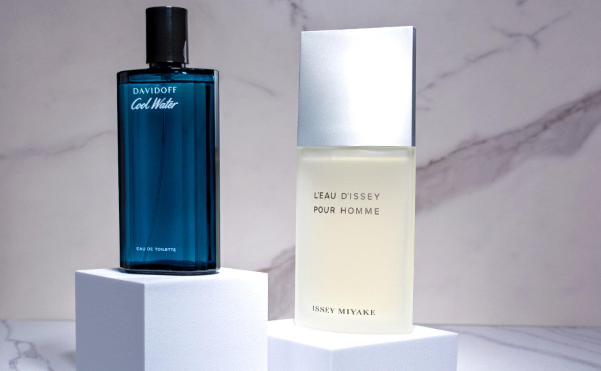 Best 6 Aquatic Colognes for Men