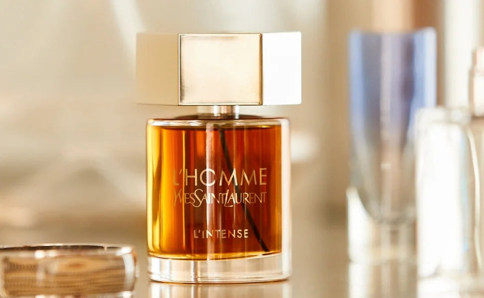 Best YSL Perfumes for Men and Women in 2024
