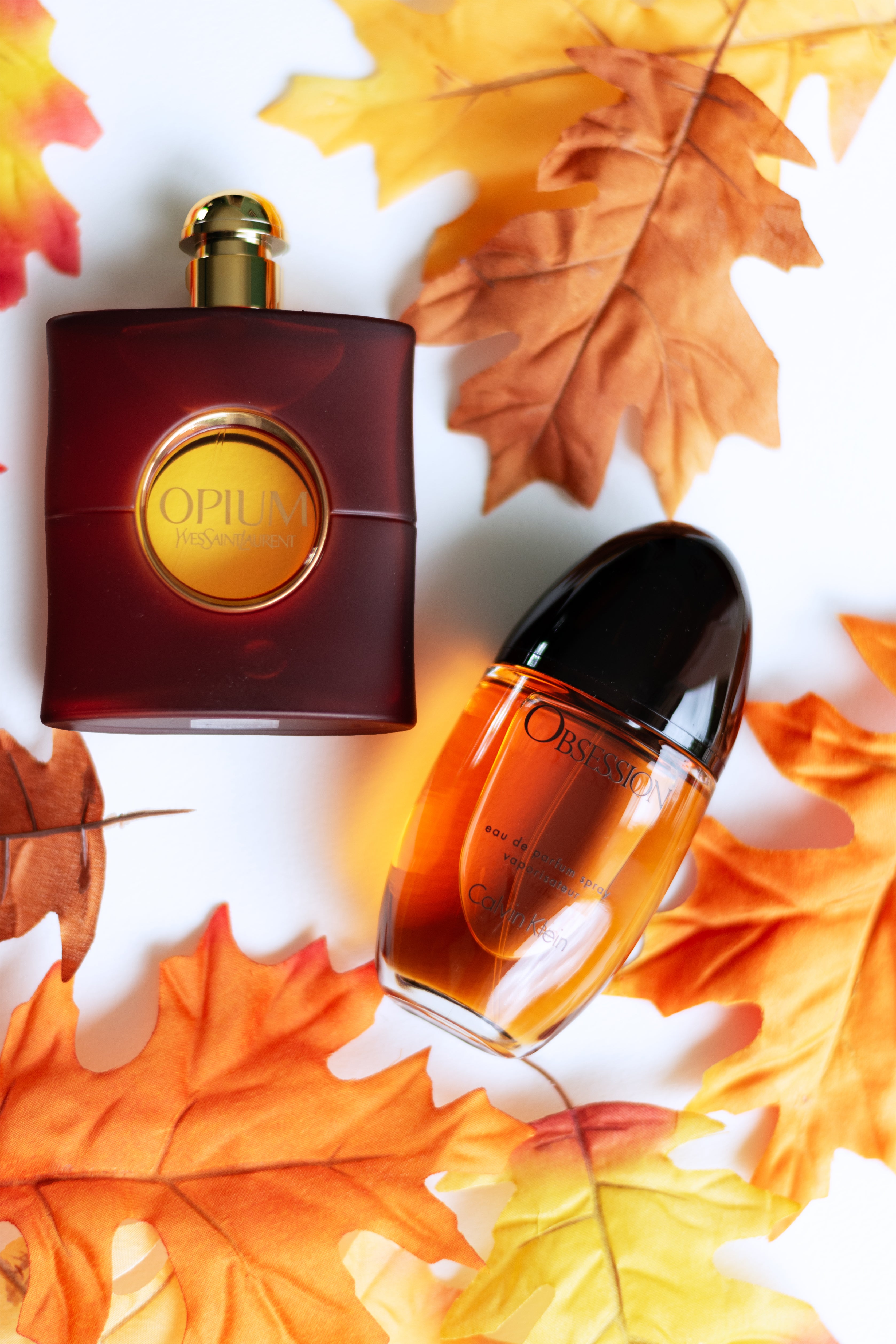 Top 5 Best Fall Fragrances for Her and Him