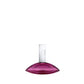 Euphoria Eau De Parfum 1.7 oz.