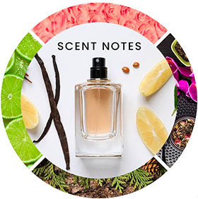 Scent notes for XOXO Eau De Parfum