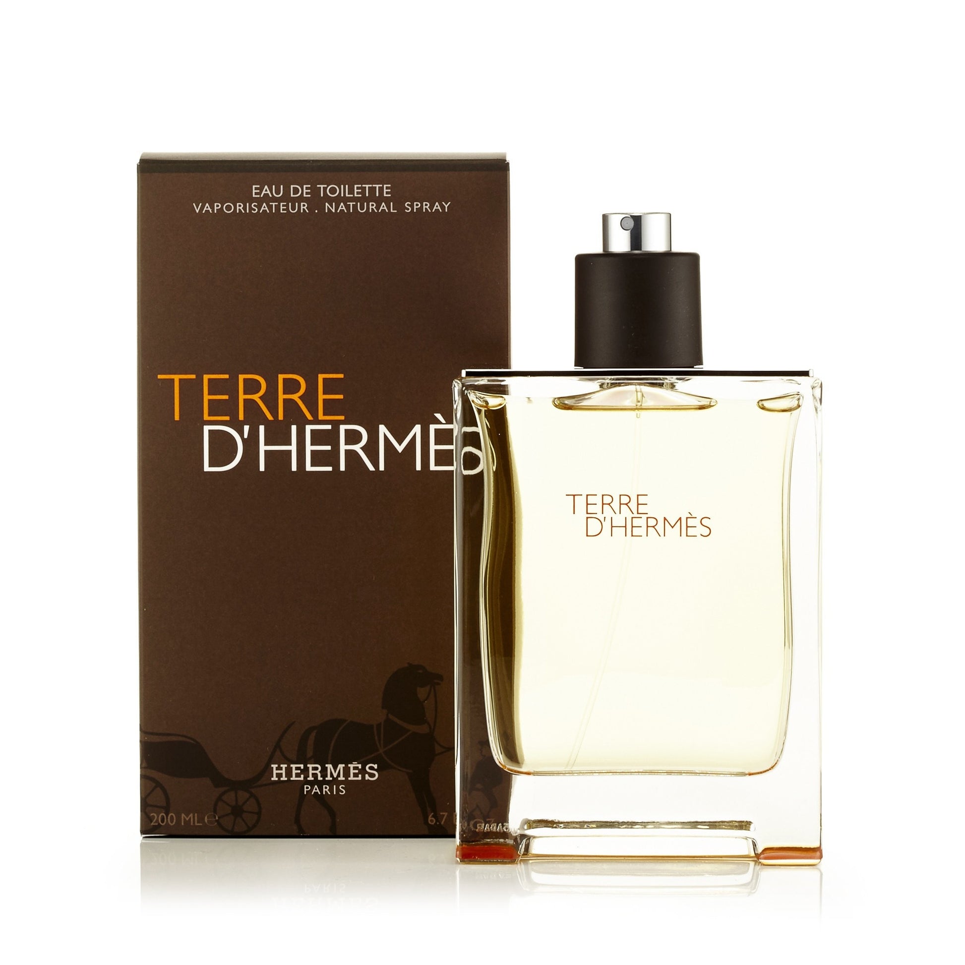 Terre D'Hermes Eau de Toilette Spray for Men by Hermes 6.7 oz. Click to open in modal